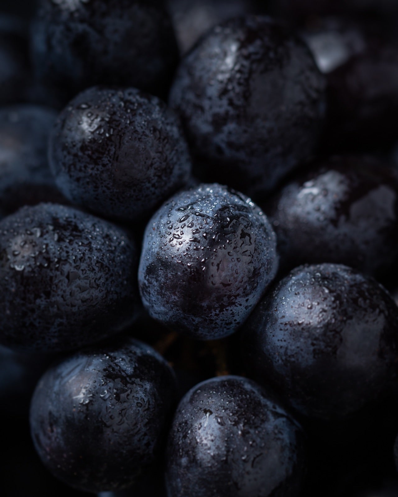Resveratrol